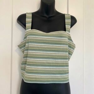 American‎ Eagle Outfitters Women's Green and White Crop Tank Top Size XL